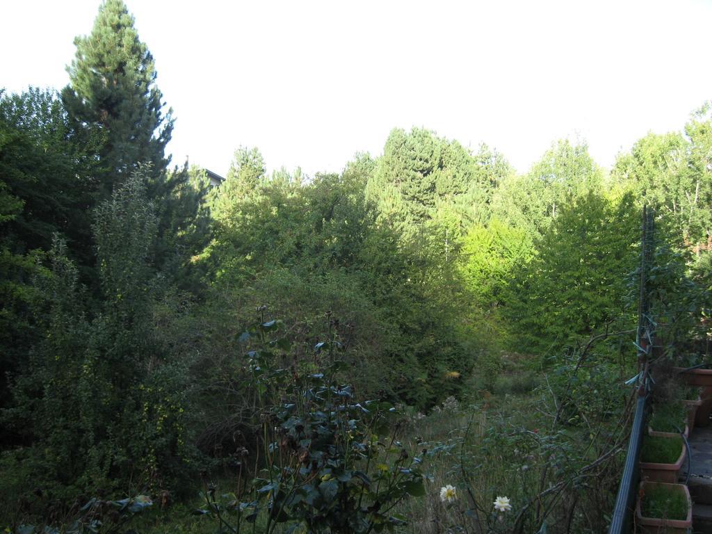 Le Tre Rose Montagna Apartment Camigliatello Silano Ruang foto